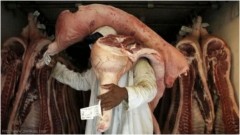 الاتحاد الأوروبي يطلب من البرازيل تعليق تصدير اللحوم طواعية بدلا من حظرها