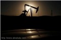 أسعار النفط تهبط بسبب زيادة عدد حفارات النفط في أمريكا